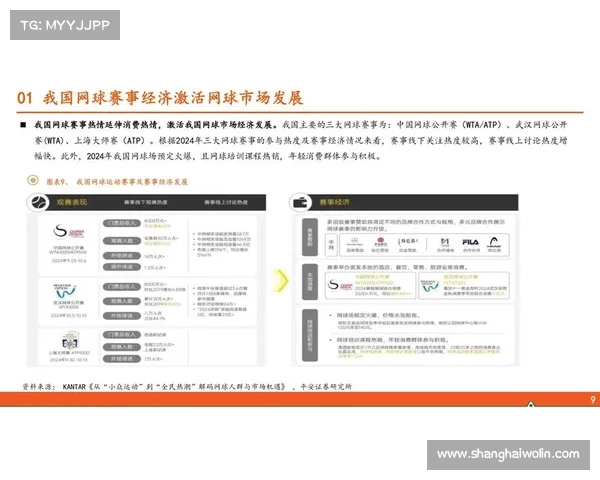 网球赛事赞助品牌影响力分析与市场战略探讨 网球赛事赞助品牌影响力分析与市场战略探讨
