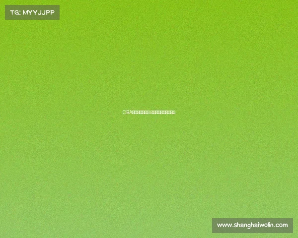 CBA五佳球精彩回顾 力量与技巧的完美碰撞