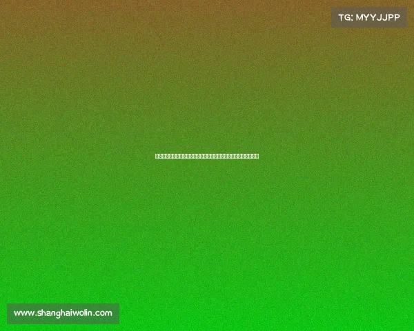 赛事运营全流程优化与创新探索打造卓越观赛体验提升赛事品牌价值